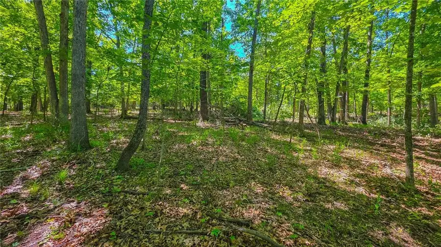 Lot #1190 Spring Creek Drive, Sunrise Beach, MO 65079 - #3
