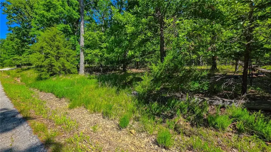 Lot #1342 Champion Drive, Sunrise Beach, MO 65079 - #2