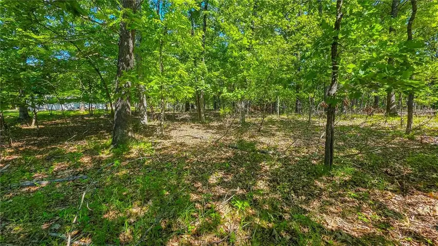 Lot #1342 Champion Drive, Sunrise Beach, MO 65079 - #3