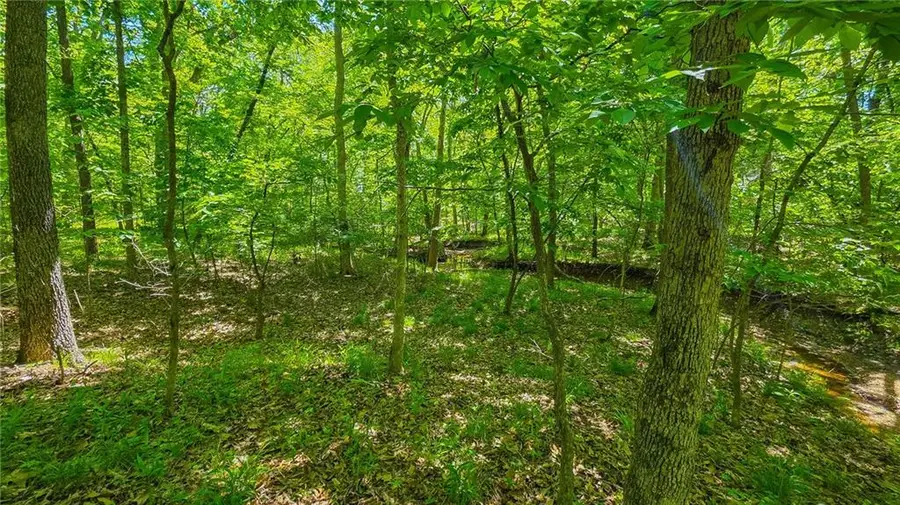 Lot #1148 Spring Creek Drive, Sunrise Beach, MO 65079 - #3