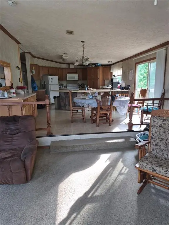 13002 Us Highway 65 N/a, Cross Timbers, MO 65634 - #3