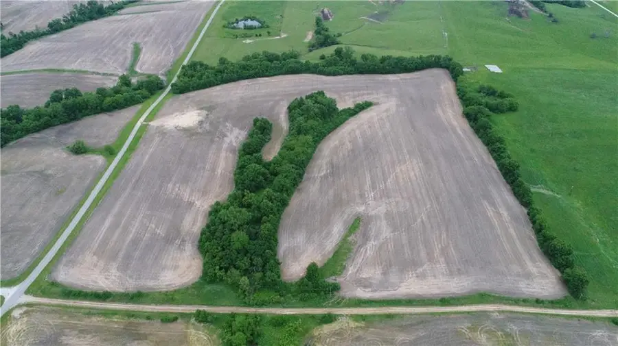 Cotton Road, Purdin, MO 64674 - #3