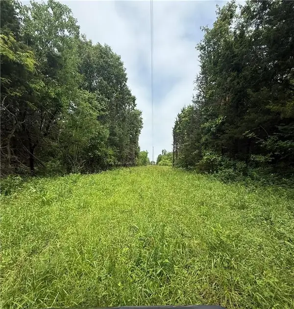 SE 1100 Road, Deepwater, MO 64760