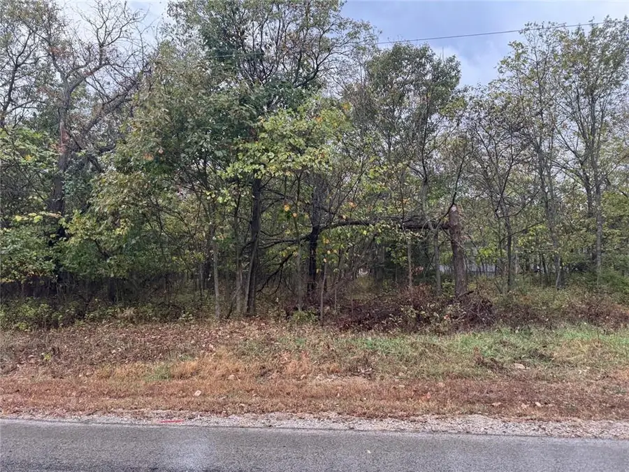 42 N Linn Valley Drive, Linn Valley, KS 66040 - #3