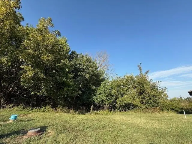 817 N Walnut Lane, Lone Jack, MO 64070 - #3