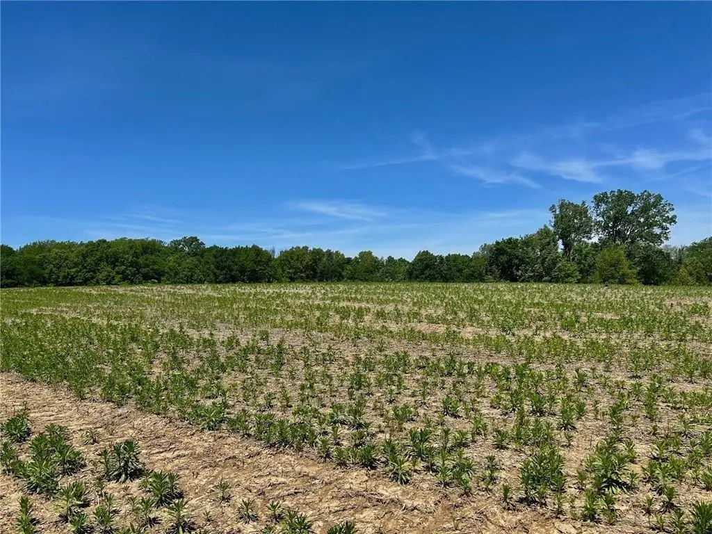 34914 E Colbern Road, Lone Jack, MO 64070 - #1
