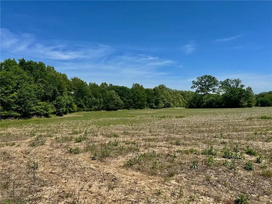 34914 E Colbern Road, Lone Jack, MO 64070 - #3