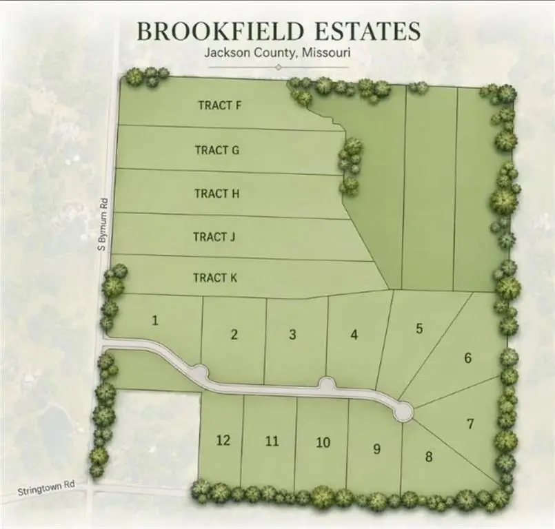 Tract F S Bynum Road, Lone Jack, MO 64070 - #1