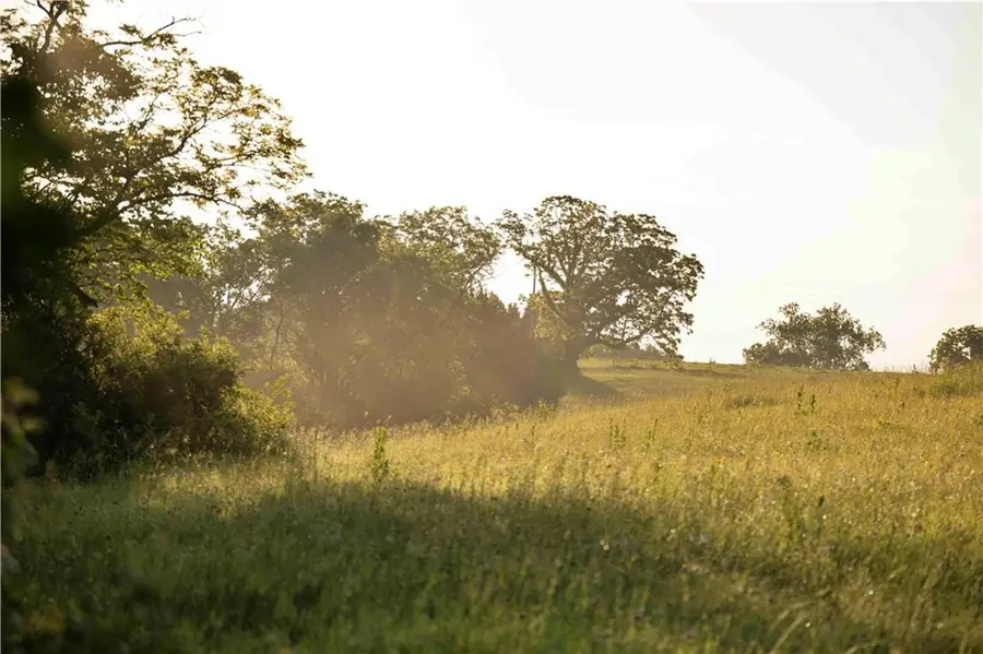 Wilderness Camp Road, Lawson, MO 64062 - #2