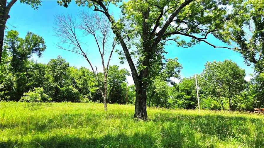 1 Shady Hollow Drive, Linn Valley, KS 66040 - #2