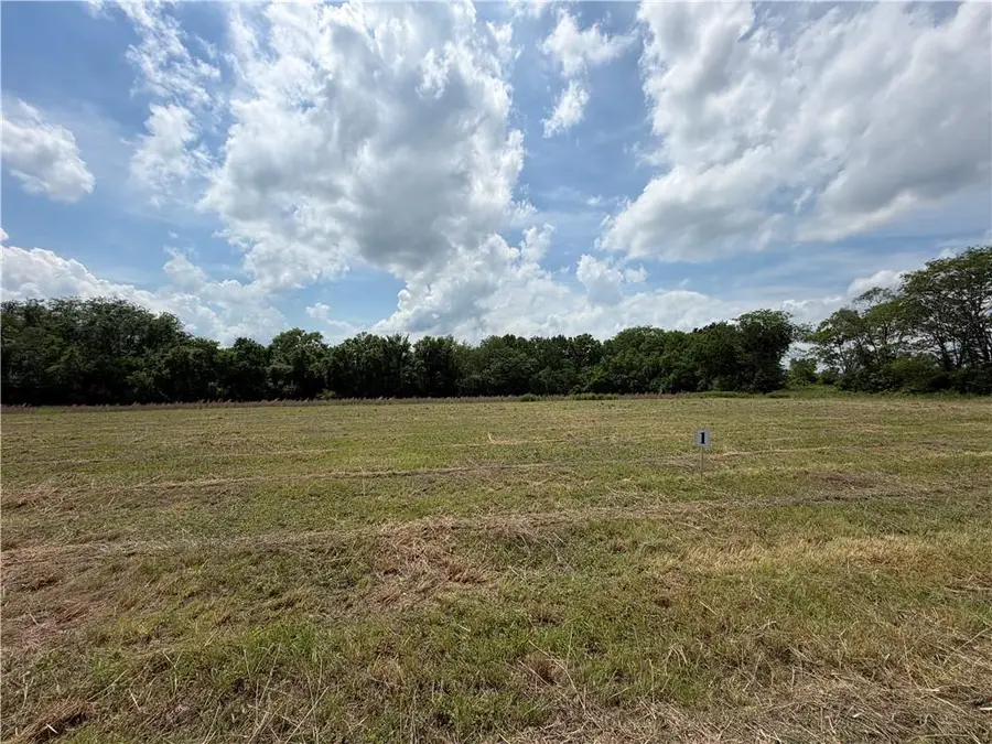 S Gibbons, Lot 2 Road, Pleasant Hill, MO 64080 - #3