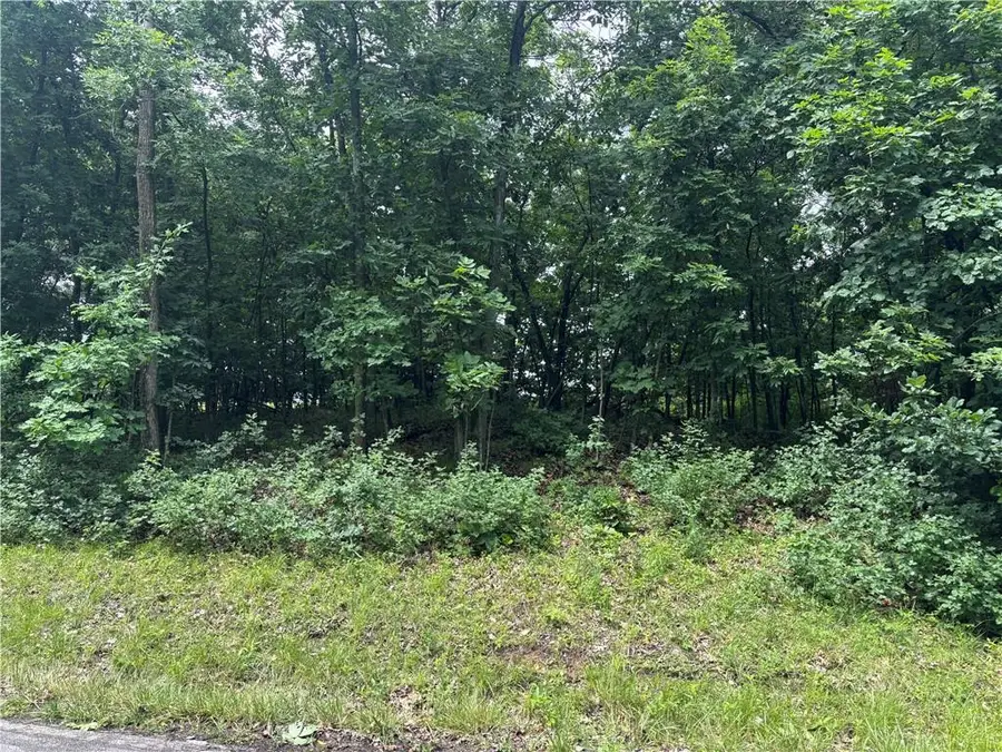 Lot 3063 Lake Viking Terrace, Altamont, MO 64620 - #2