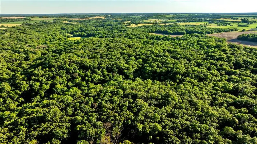 Se 321st Road, Leeton, MO 64761 - #3