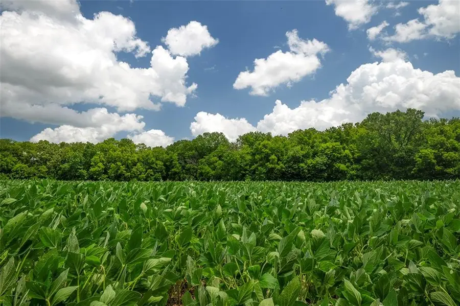 Sw County 13007 Road, Hume, MO 64752 - #2