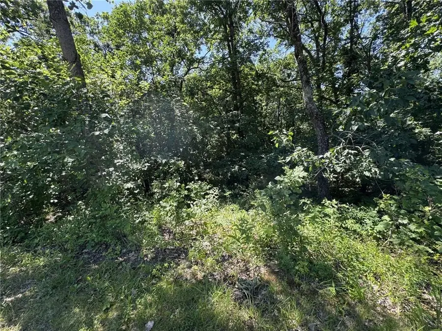 lot 65 SE 591 Road, Warrensburg, MO 64093 - #2