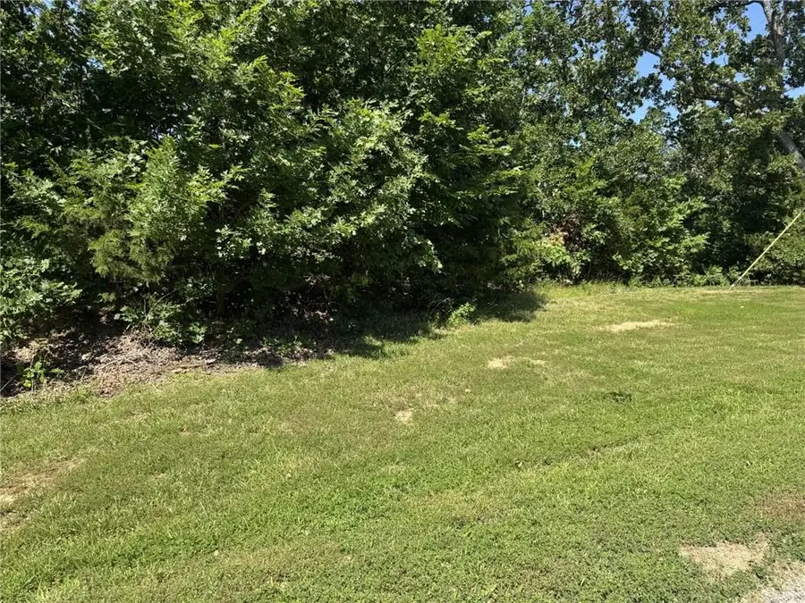 Lot 66 SE 591 Road, Warrensburg, MO 64093 - #3