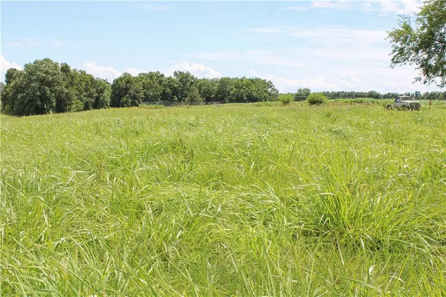 2239 County Road 1390 Road, Cairo, MO 65239 - #3