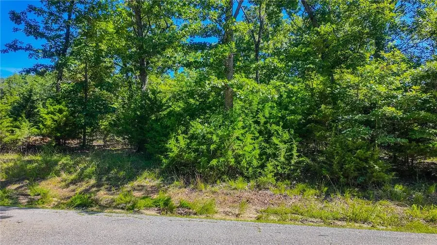 Lot #1345 Champion Drive, Sunrise Beach, MO 65079 - #2