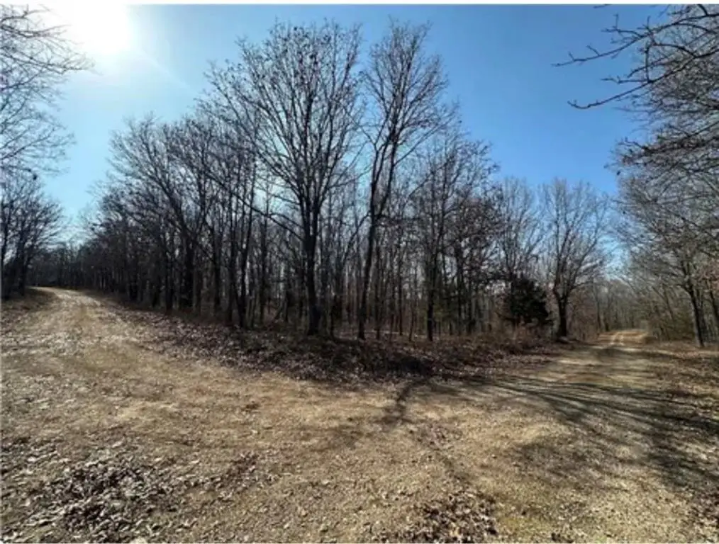 LOTS 3155,3156,3101 Rolfs Place, Edwards, MO 65326 - #1