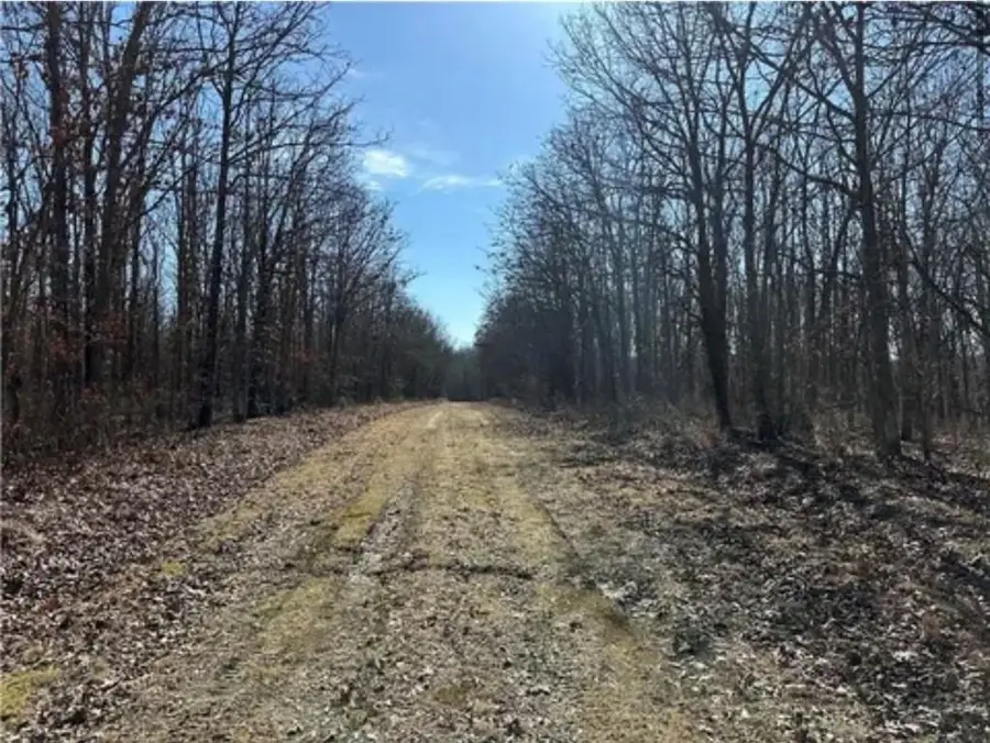 LOTS 3155,3156,3101 Rolfs Place, Edwards, MO 65326 - #3