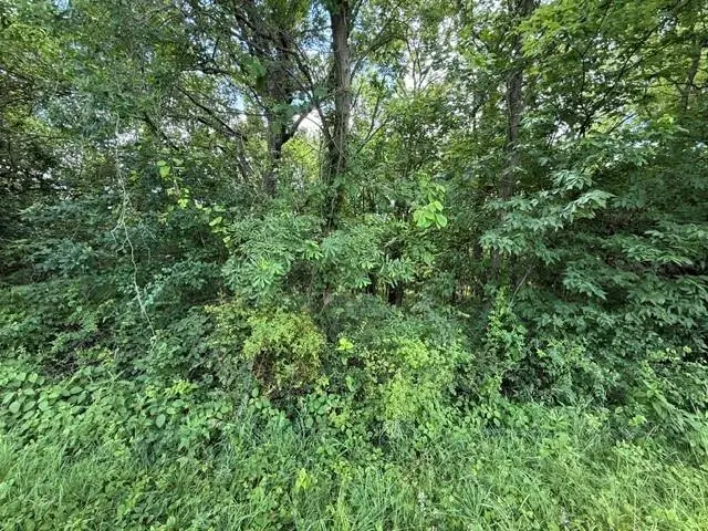 TBD 69 Highway, Turney, MO 64493 - #3