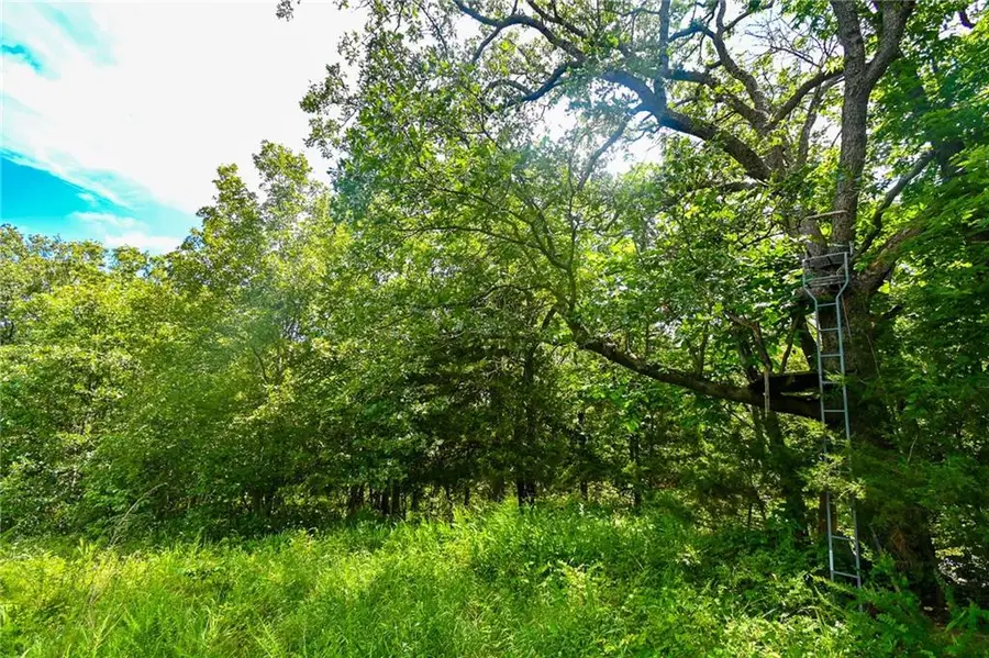 5760 NE 871 Private Road Road, Osceola, MO 64776 - #3