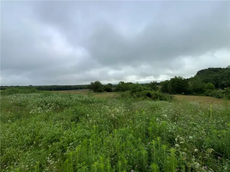 20800 Cantrell Road, Linwood, KS 66052 - #3
