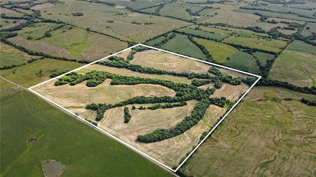 000 Cowsert Road, Braymer, MO 64624 - #1