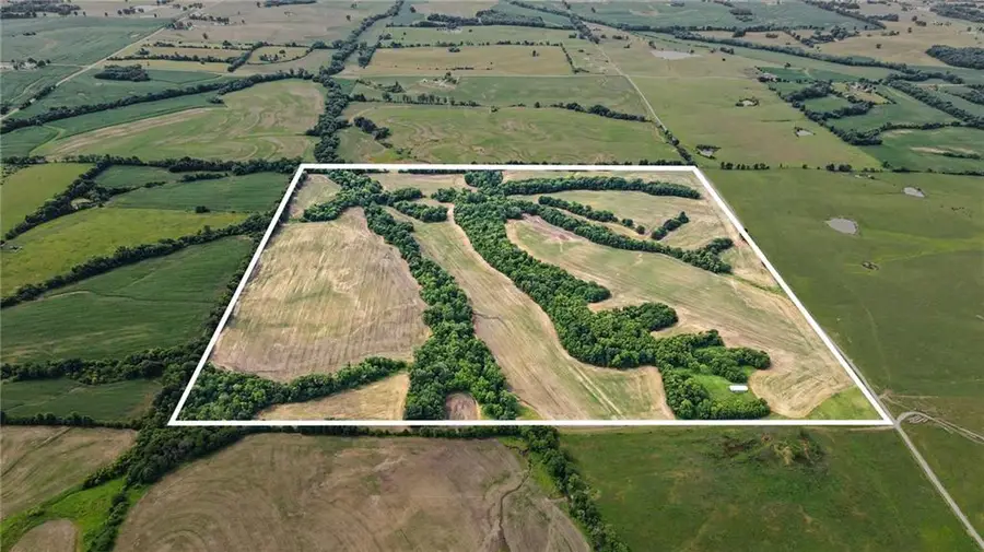 000 Cowsert Road, Braymer, MO 64624 - #2