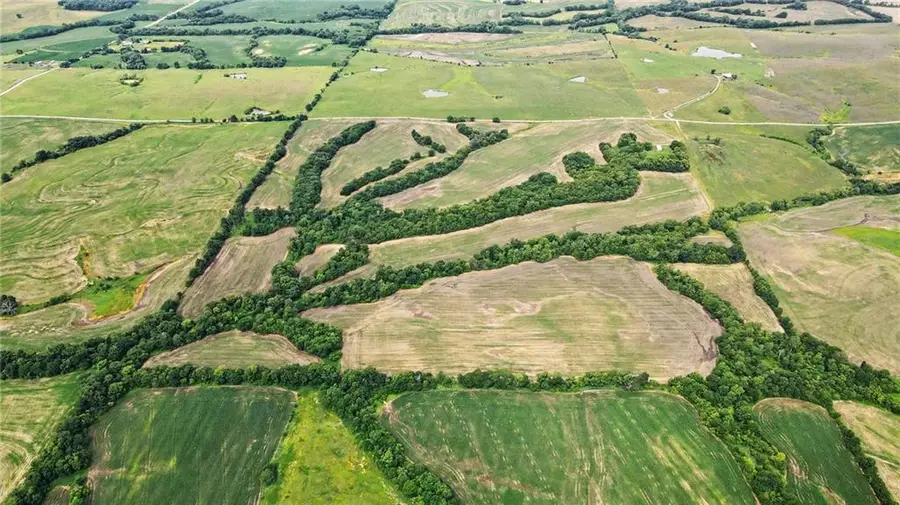 000 Cowsert Road, Braymer, MO 64624 - #3