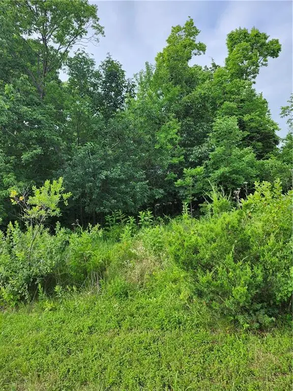 9 E Ridgewood Circle, Linn Valley, KS 66040 - #1