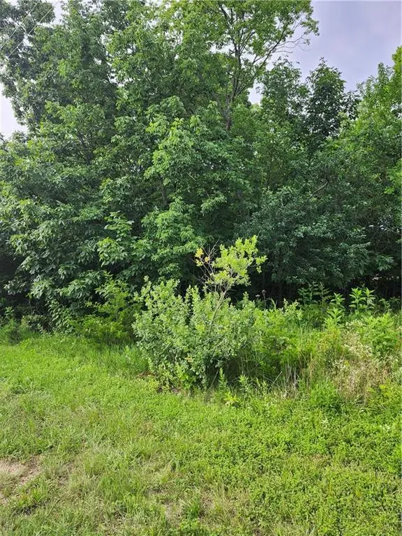 9 E Ridgewood Circle, Linn Valley, KS 66040 - #2