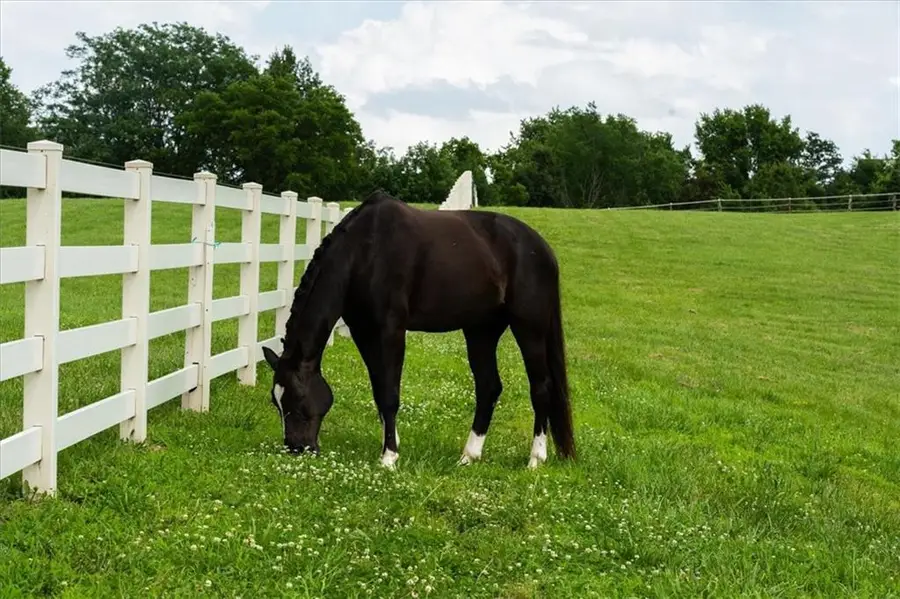 Lot 2 Bridle Parc Lane, Kansas City, MO 64152 - #3