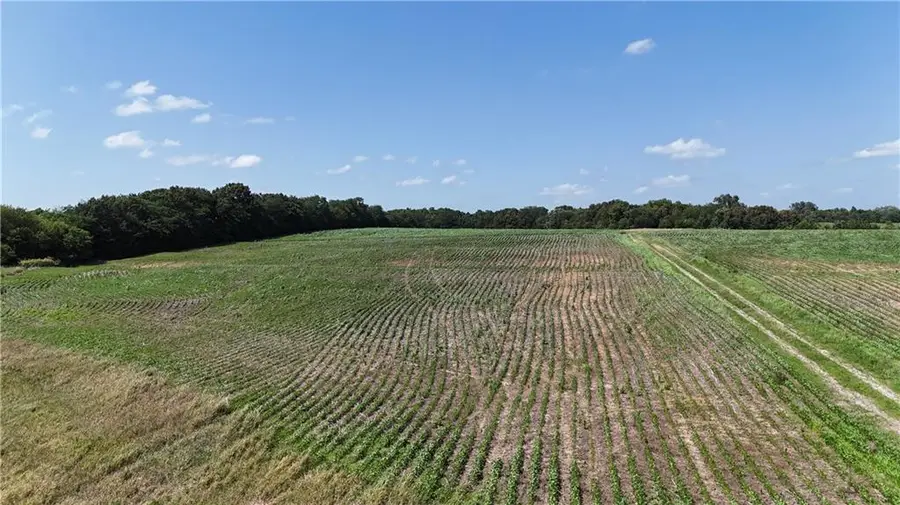 O Highway, Clarksdale, MO 64430 - #2
