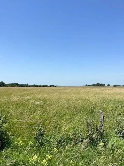 0005 Switzer Road, Louisburg, KS 66053 - #3