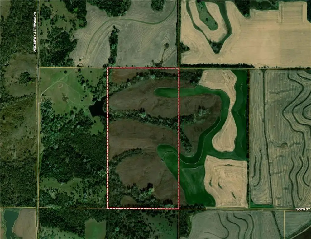 tbd 160th Street, Elmo, MO 64445 - #1