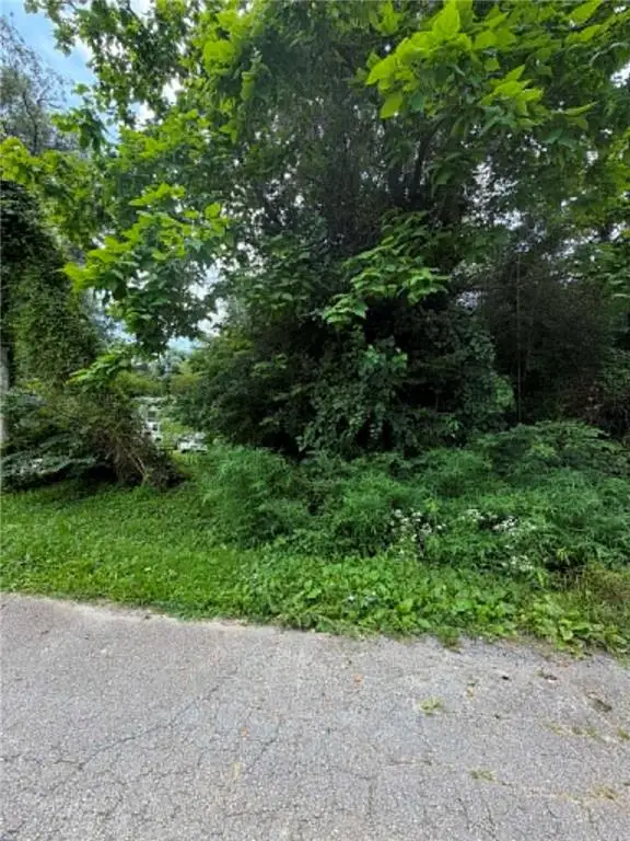 0 E Sycamore Street, Weir, KS 66725 - #1