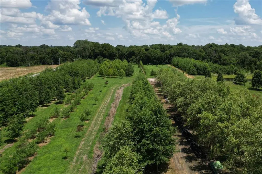 22701 Timberview Road, Harrisonville, MO 64701 - #1