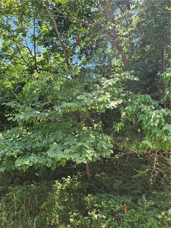 26 N Lakeview Circle, Linn Valley, KS 66040 - #3
