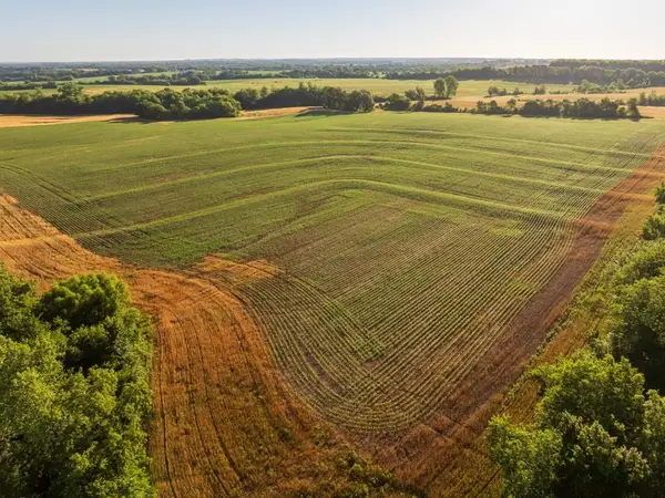 County Road 130 Road, Braymer, MO 64624