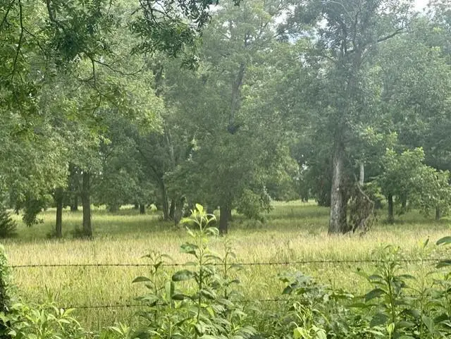 Stockade Road, Moundville, MO 64771 - #1