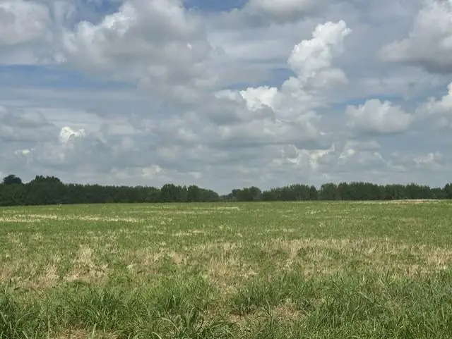 Stockade Road, Moundville, MO 64771 - #2