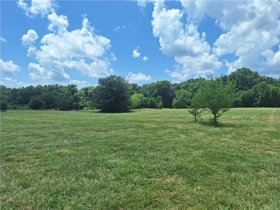 Tract C S Sycamore Gove Road, Garden City, MO 64747 - #3