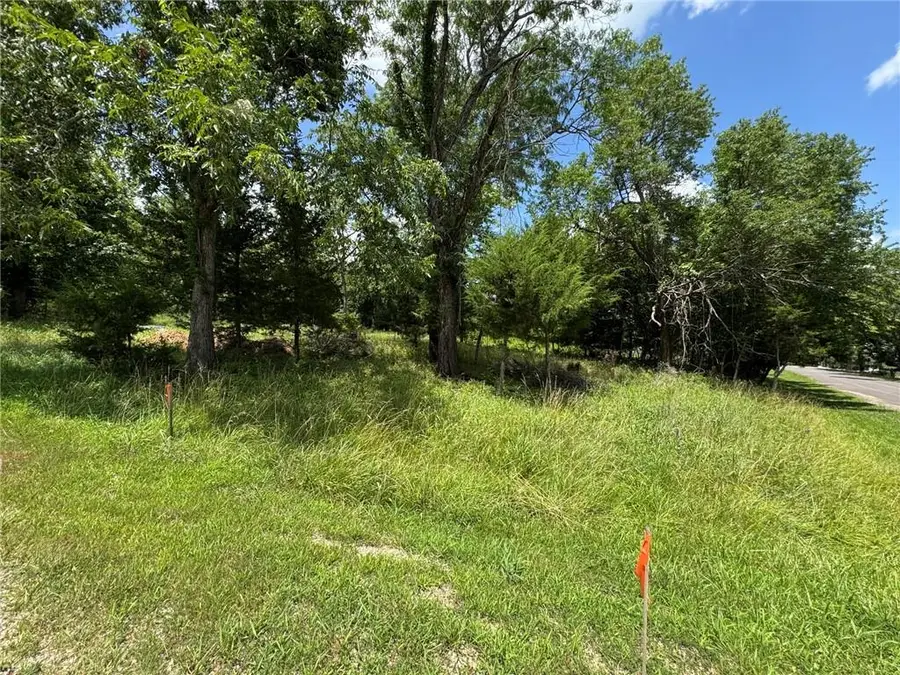 5 Shady Hollow Drive, Linn Valley, KS 66040 - #3