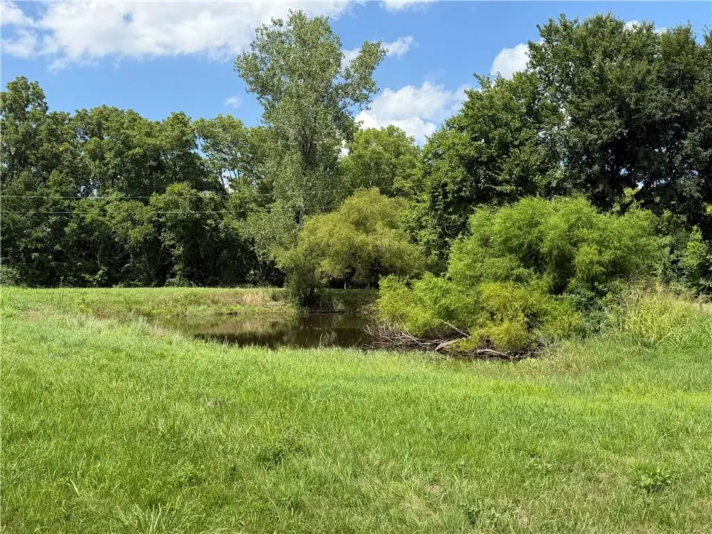 15757 206th Street, Tonganoxie, KS 66086 - #1