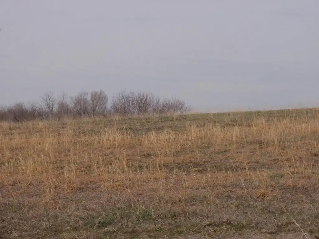 2255 Douglas Road, Perry, KS 66073 - #1