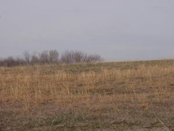 2255 Douglas Road, Perry, KS 66073