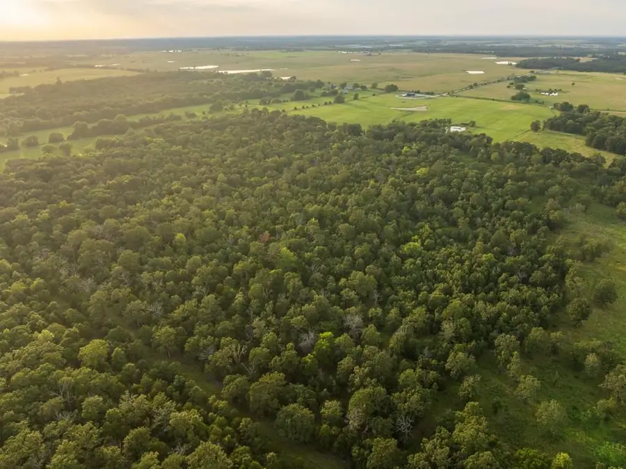 NE 100th Road, Lamar, MO 64759 - #2