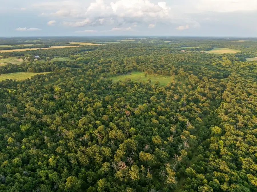 NE 100th Road, Lamar, MO 64759 - #3