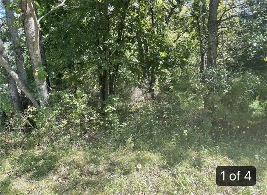 Lot 2701 Fox Road, Altamont, MO 64620 - #2